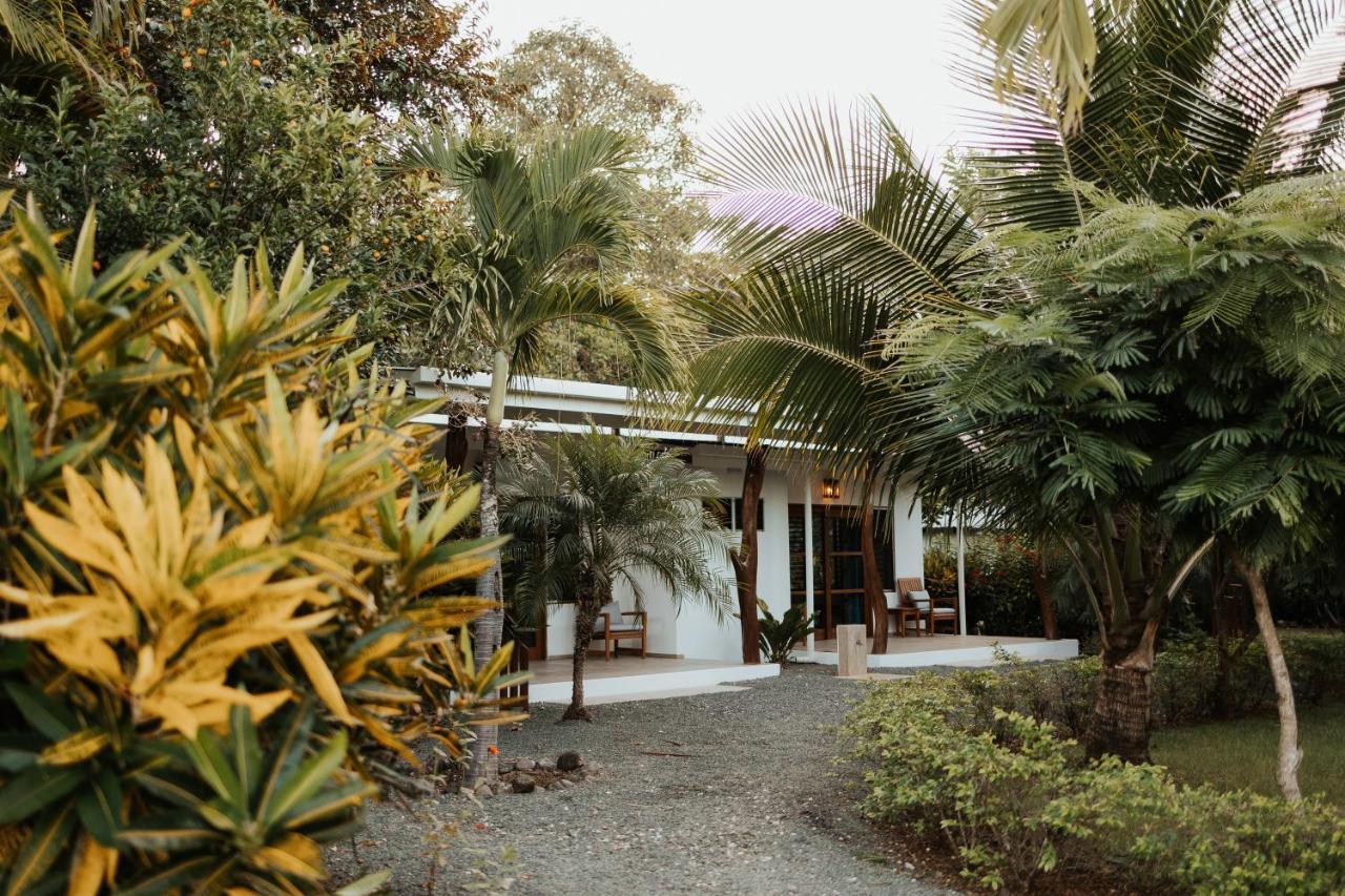 Salvatierra Beachfront Hotel Puerto Coyote Extérieur photo